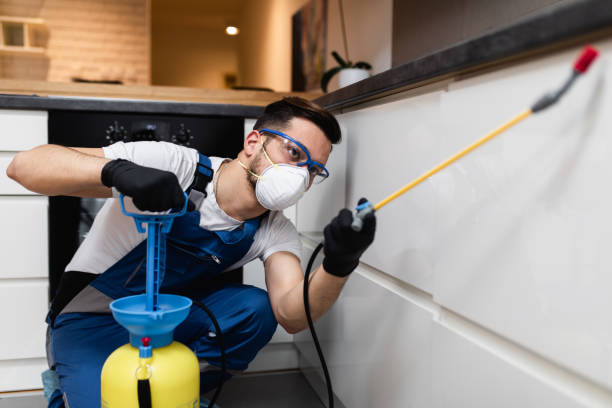 Best Best Pest Control Companies  in Glenmoor, OH