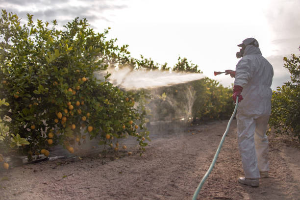 Best Affordable Pest Control Services  in Glenmoor, OH