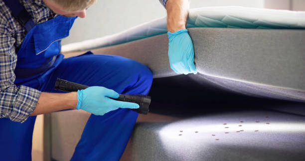 Best Rat Extermination Near Me  in Glenmoor, OH