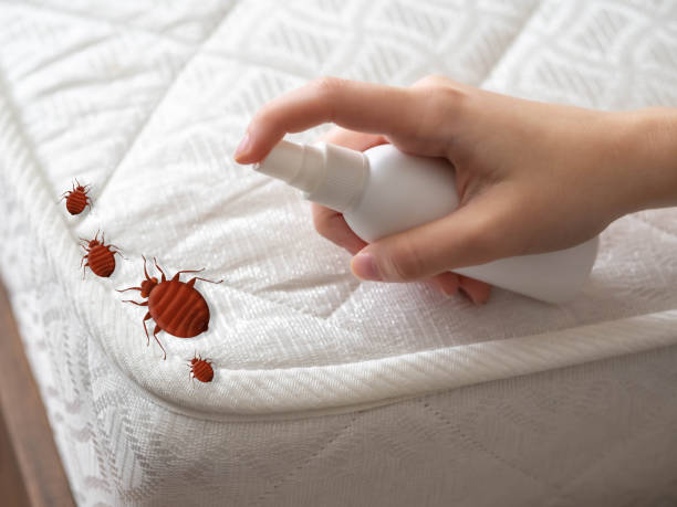 Best Pest Prevention Services  in Glenmoor, OH
